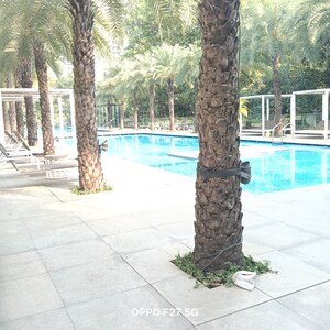 Swimming Pool in 2 BHK Apartment at Lodha Sterling, Kolshet Road – for Sale