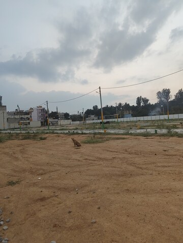 Plot Area in  Plot at Devanahalli – for Sale