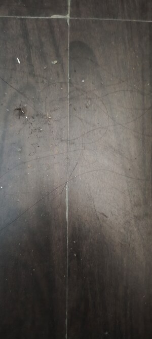 Bathroom in 3.5 BHK Apartment at Gardenia Gateway, Sector 75 – for Rent