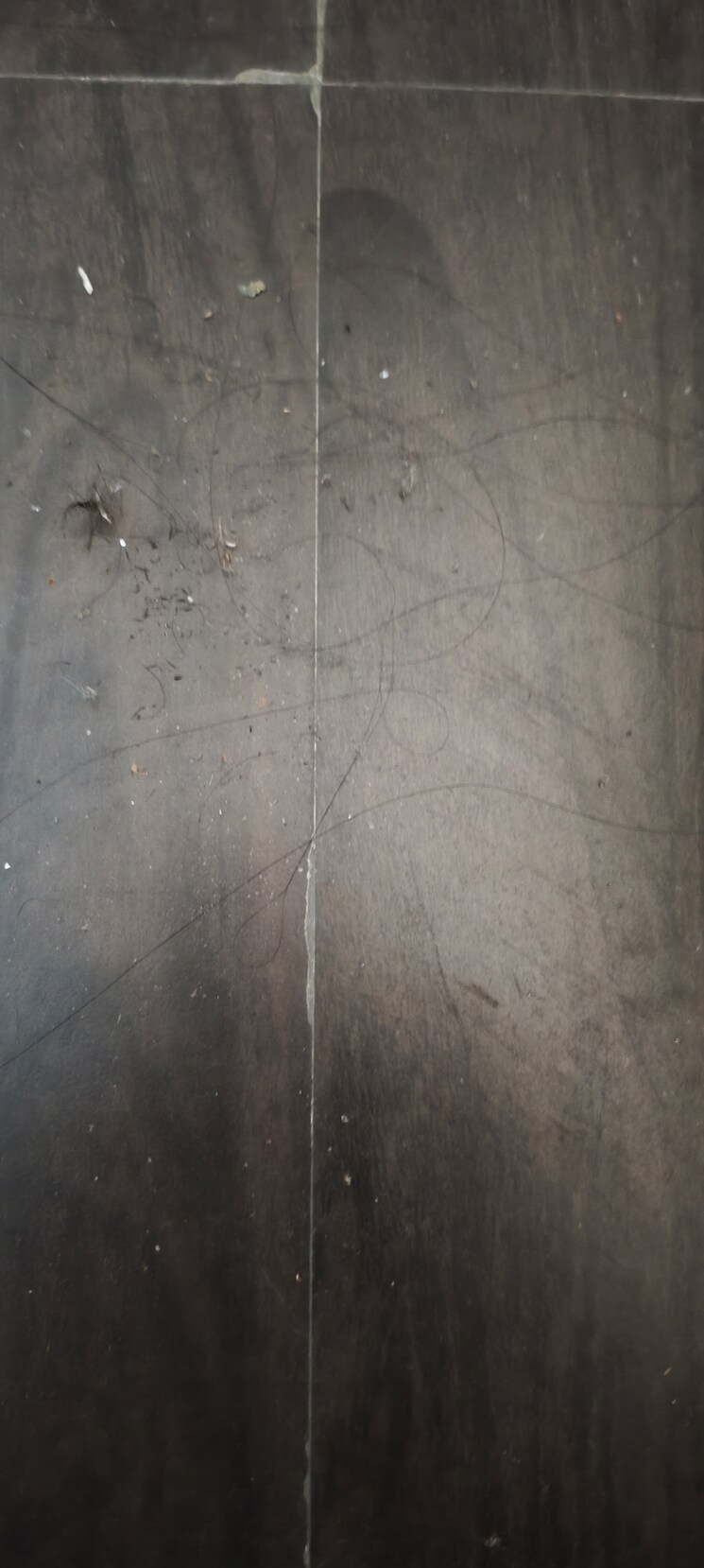 Bathroom, gardenia-gateway 3.5 Bedroom 1700 Sq.Ft. Apartment In Sector 75 Noida 9586310