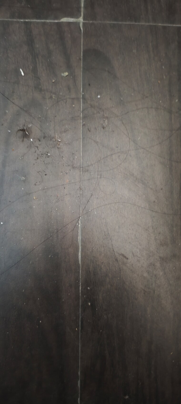 Bathroom, gardenia-gateway 3.5 Bedroom 1700 Sq.Ft. Apartment In Sector 75 Noida 9586310