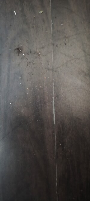 Building Lobby in 3.5 BHK Apartment at Gardenia Gateway, Sector 75 – for Rent