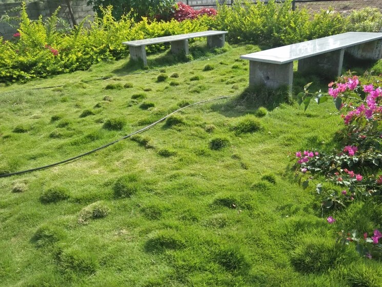 Garden, skh-echium  1500 Sq.Ft. Plot In Whitefield Bangalore 9586529