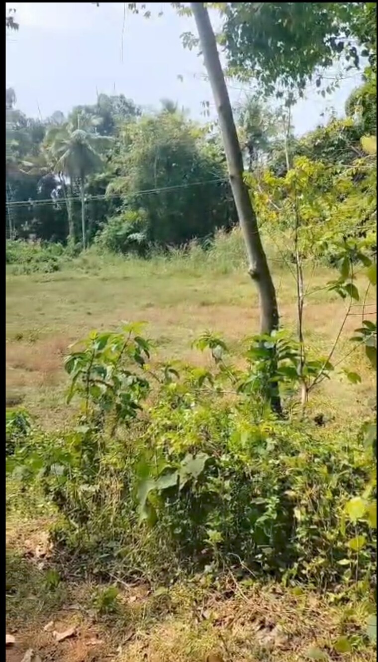 Garden, kaiparambu jn  36154 Sq.Ft. Plot In Kaiparambu jn Thrissur 9587057
