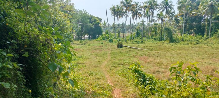 Garden, kaiparambu jn  36154 Sq.Ft. Plot In Kaiparambu jn Thrissur 9587057