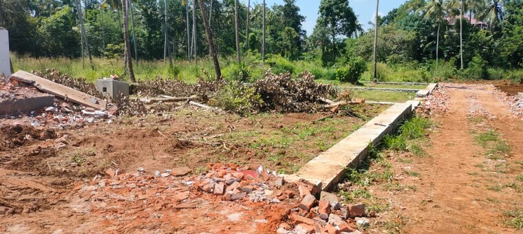 undefined, mannuthy  3921 Sq.Ft. Plot In Mannuthy Thrissur 9587096