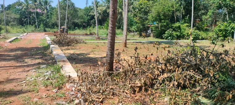 undefined, mannuthy  3921 Sq.Ft. Plot In Mannuthy Thrissur 9587096