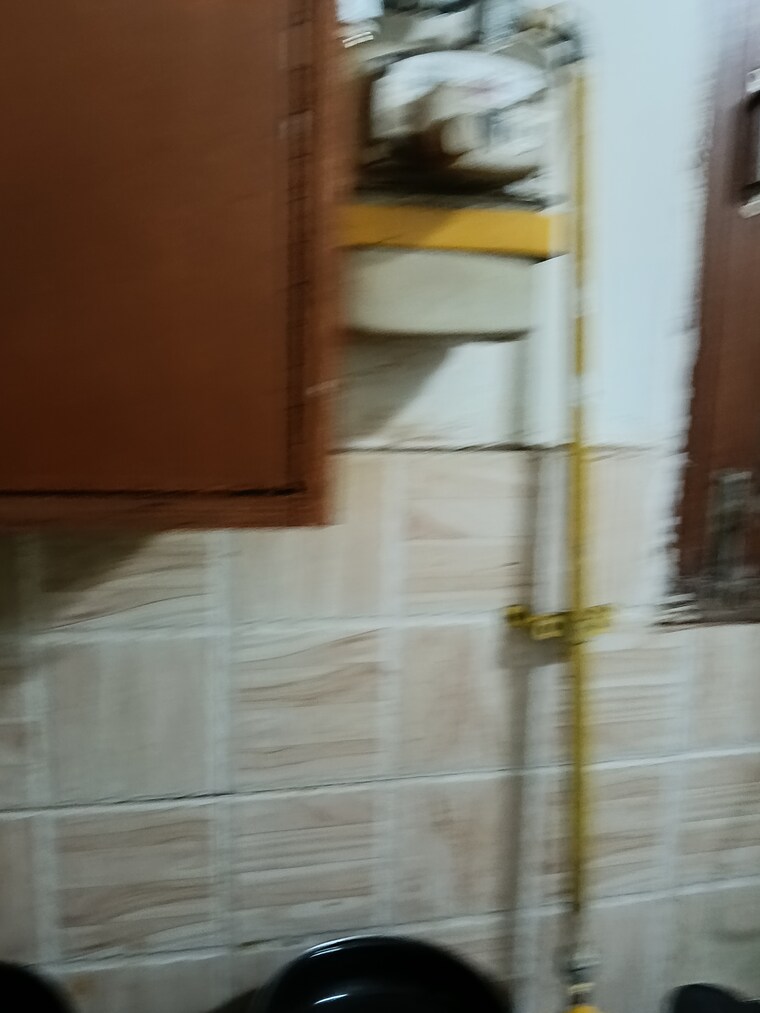 undefined, ignou road 1 Bedroom 450 Sq.Ft. Builder Floor In Ignou Road Delhi 9587212