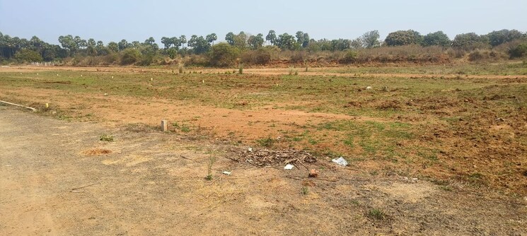 undefined, diwancheruvu  305 Sq.Yd. Plot In Diwancheruvu Rajahmundry 9587511