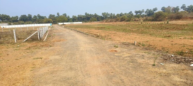 undefined, diwancheruvu  305 Sq.Yd. Plot In Diwancheruvu Rajahmundry 9587511