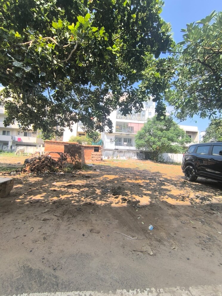 Other, sushant-lok-2  503 Sq.Yd. Plot In Sector 57 Gurgaon 9587815