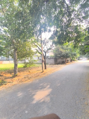Plot Area in  Plot at South City 1 – for Sale