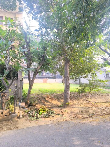  Plot For Sale in South City 1