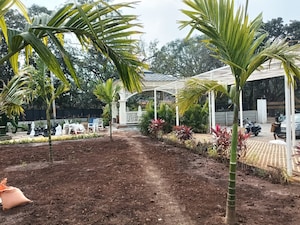  Plot – Exterior View View at Shankarpalli - for Sale