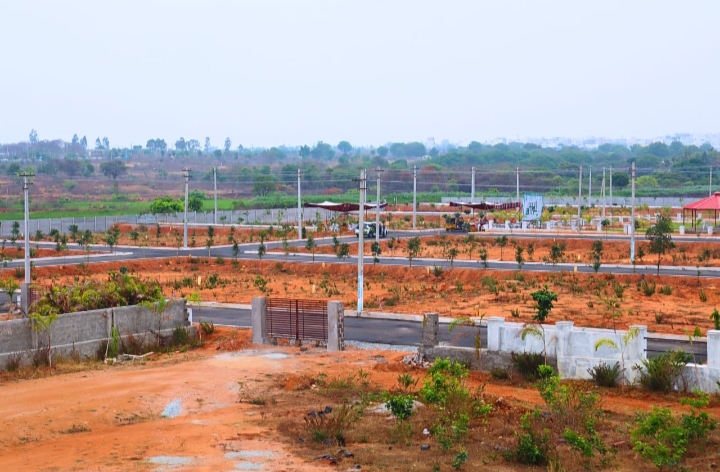 Plot For Sale in Shadnagar 