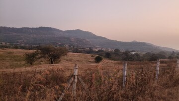 Plot Area in  Plot at Nasrapur – for Sale