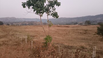Plot Area in  Plot at Nasrapur – for Sale