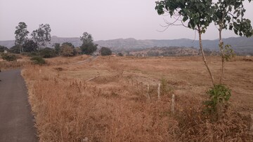 Plot Area in  Plot at Nasrapur – for Sale