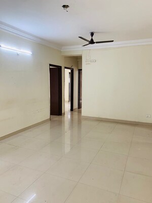 1.5 BHK Apartment For Rent in Amrapali Dream Valley, Tech Zone 4 Greater Noida