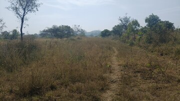 Plot Area in  Land at Shindewadi – for Sale