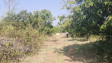 Plot Area in  Land at Shindewadi – for Sale