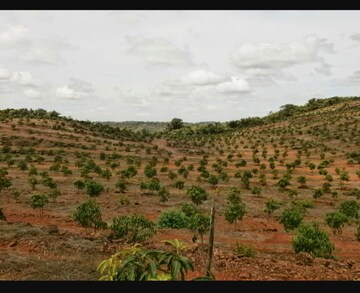  Plot For Sale in Samooha Golden Gate, Yacharam