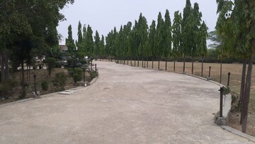  Plot – Exterior View View at SS Sainik Farms, Sector 150 - for Sale