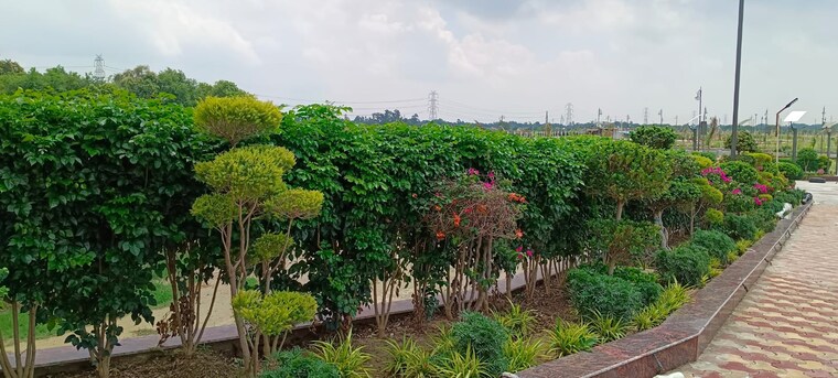 Garden, deva road  1500 Sq.Yd. Plot In Deva Road Lucknow 9589476