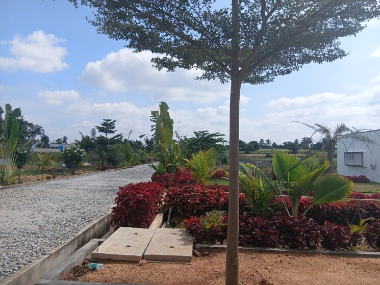 undefined, chikkaballapur  2400 Sq.Ft. Plot In Chikkaballapur Bangalore 9589530
