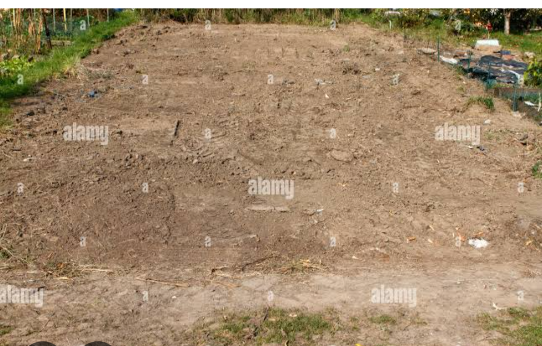 Plot For Sale in Vasundhara Sector 15