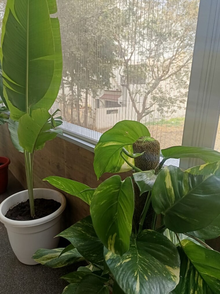 Bathroom, dlf-city-phase-iv 4 Bedroom 3200 Sq.Ft. Builder Floor In Dlf Phase iv Gurgaon 9590024