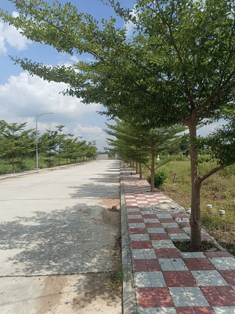 undefined, mansanpalle  200 Sq.Yd. Plot In Mansanpalle Hyderabad 9590526