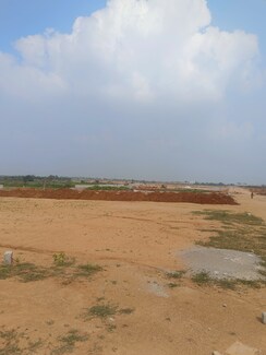 Plot For Sale in Mansanpalle