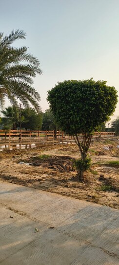 Plot For Sale in Golden City Ada Approve 