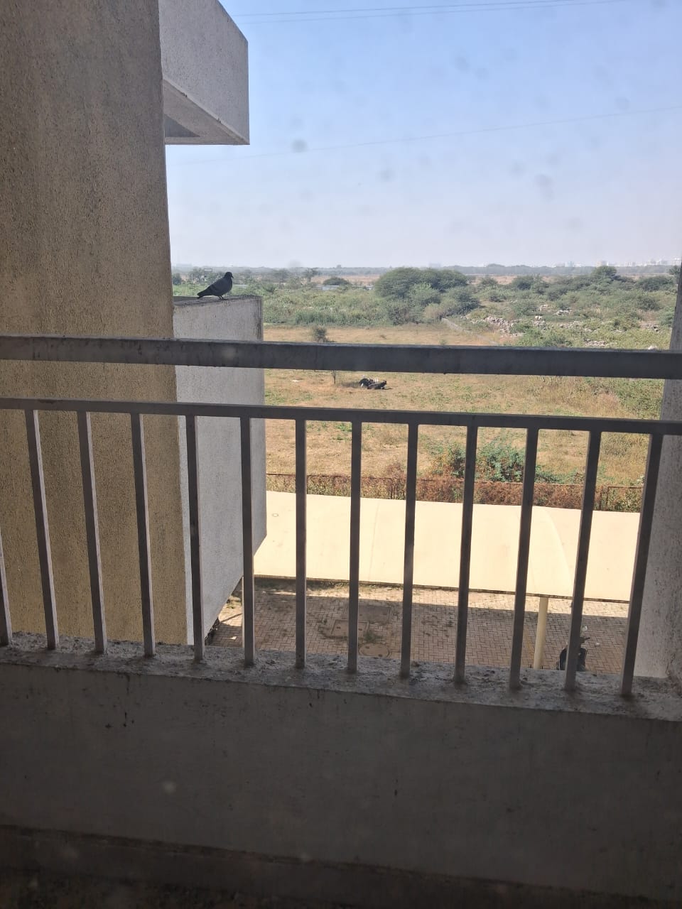 2 BHK Apartment For Rent in Kamdhenu 7th Heaven