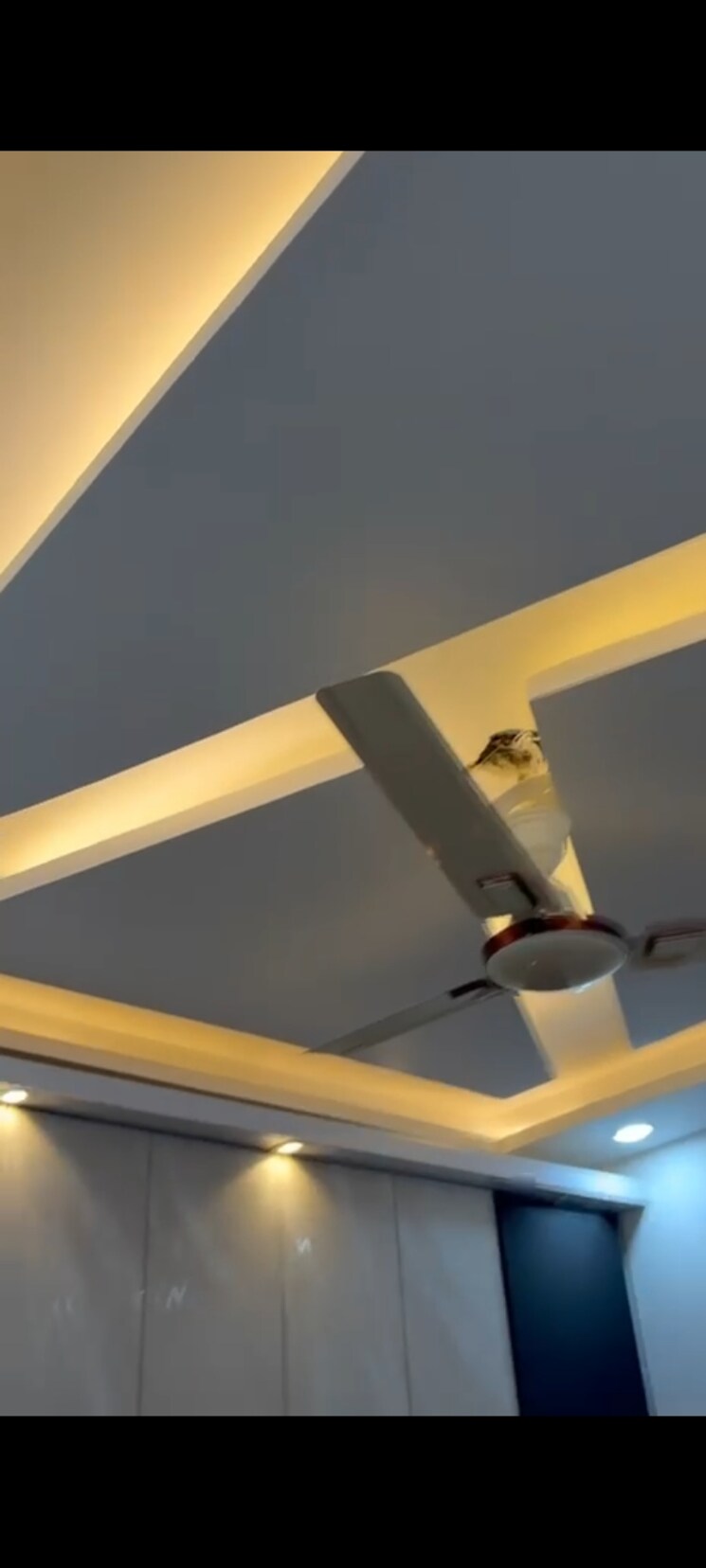 undefined, uttam nagar 1 Bedroom 380 Sq.Ft. Builder Floor In Uttam Nagar Delhi 9590887