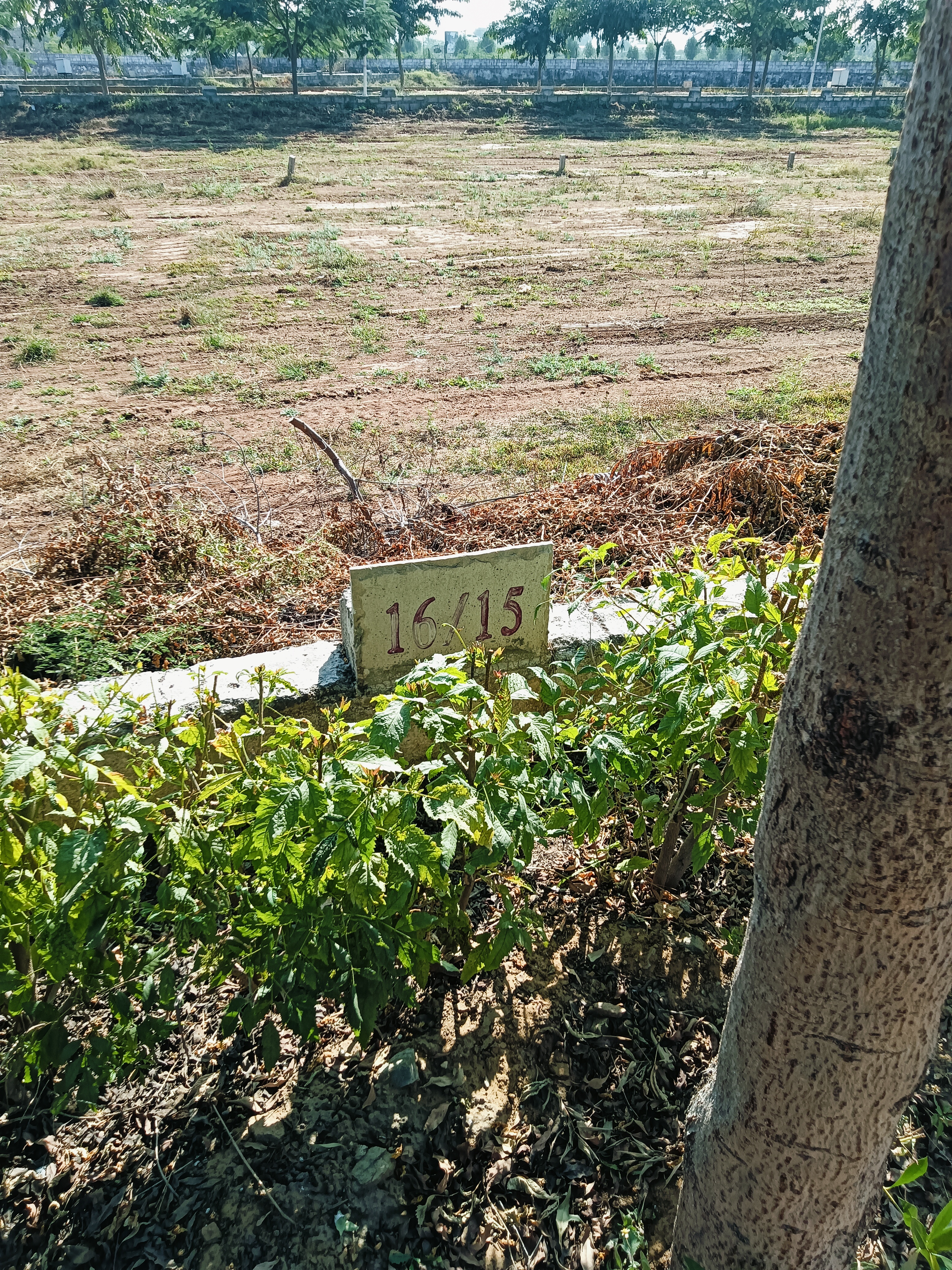 Plot For Sale in Panchawati Baywar On High