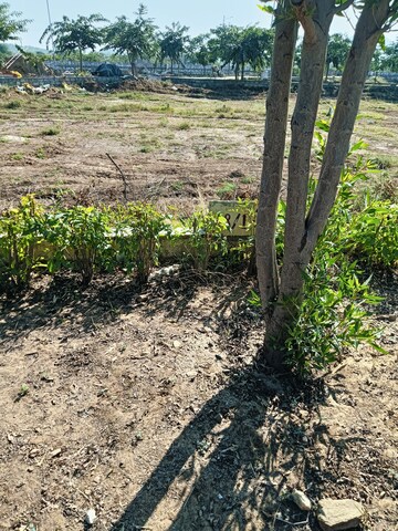  Plot For Sale in Beawar Road