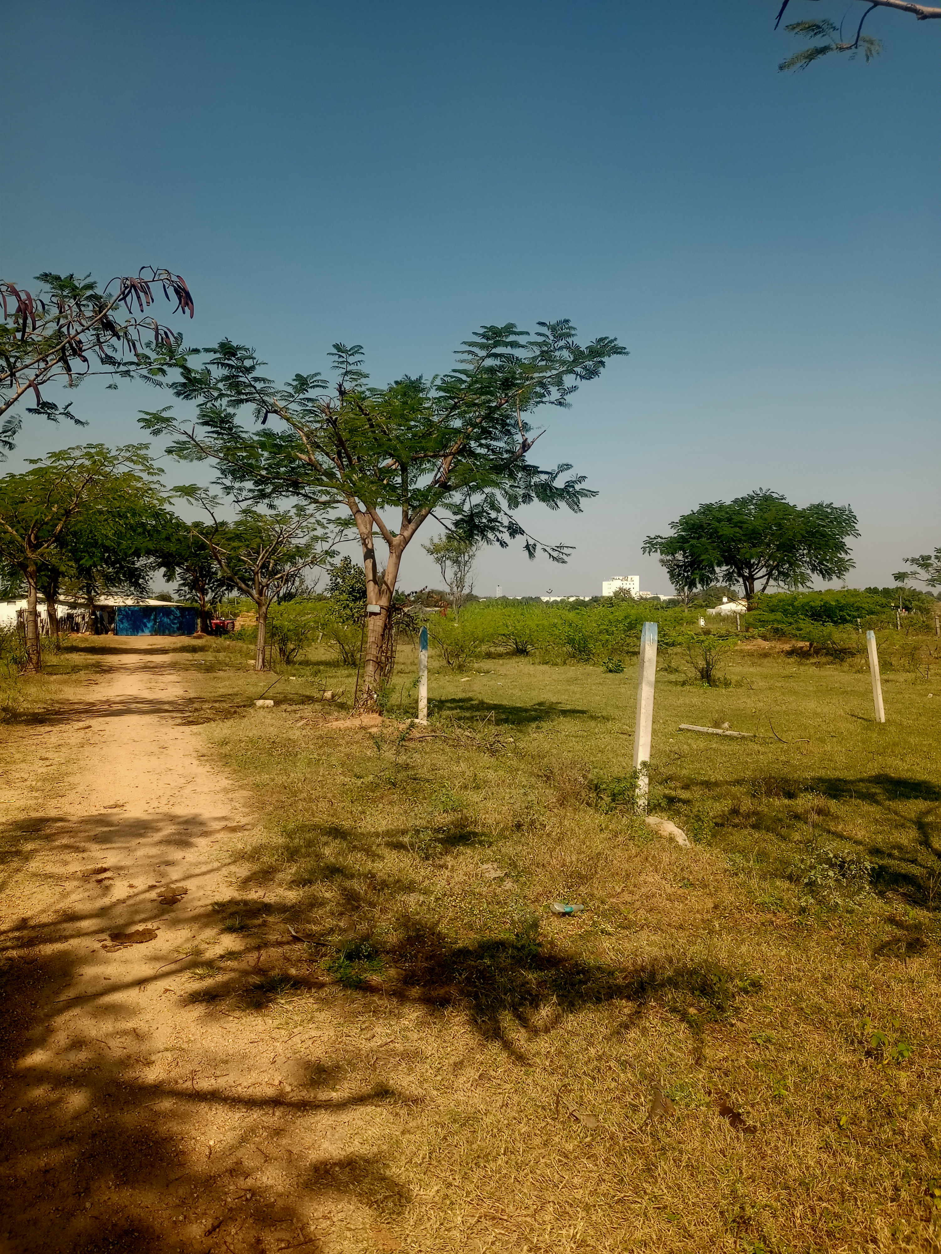 Plot For Sale in Kothur