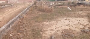 Plot Area in  Plot at Motiram Adda – for Sale