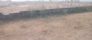 Plot Area in  Plot at Motiram Adda – for Sale