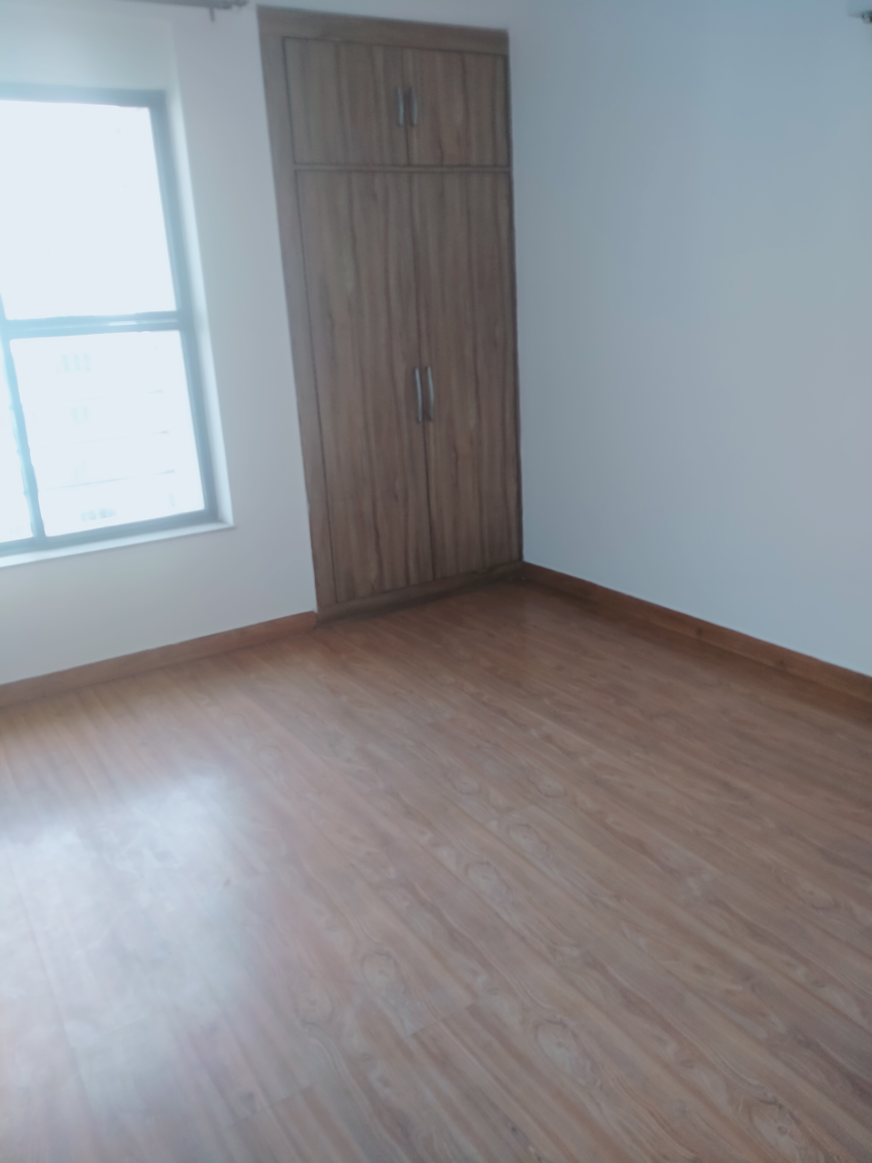 2 BHK Apartment For Rent in Ireo Skyon