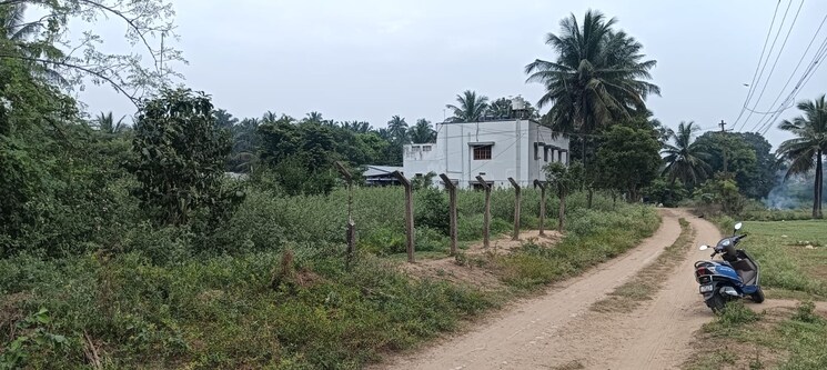 Exterior View, kanchan-vihar  305 Sq.Ft. Plot In Dlf Ankur Vihar Ghaziabad 9592375