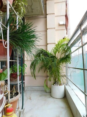 Balcony in 3 BHK Builder Floor at Chattarpur – for Rent