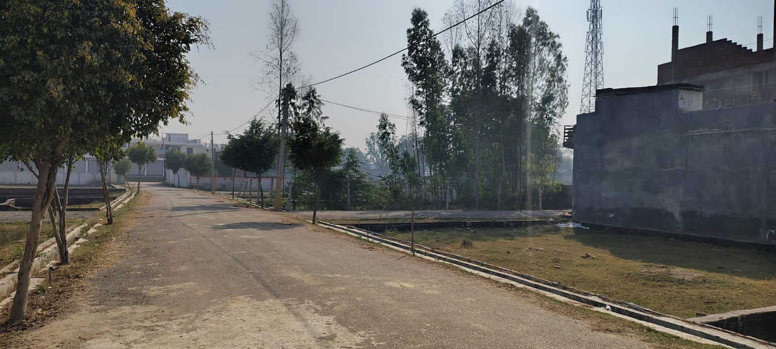 Plot For Sale in Pb Properties 