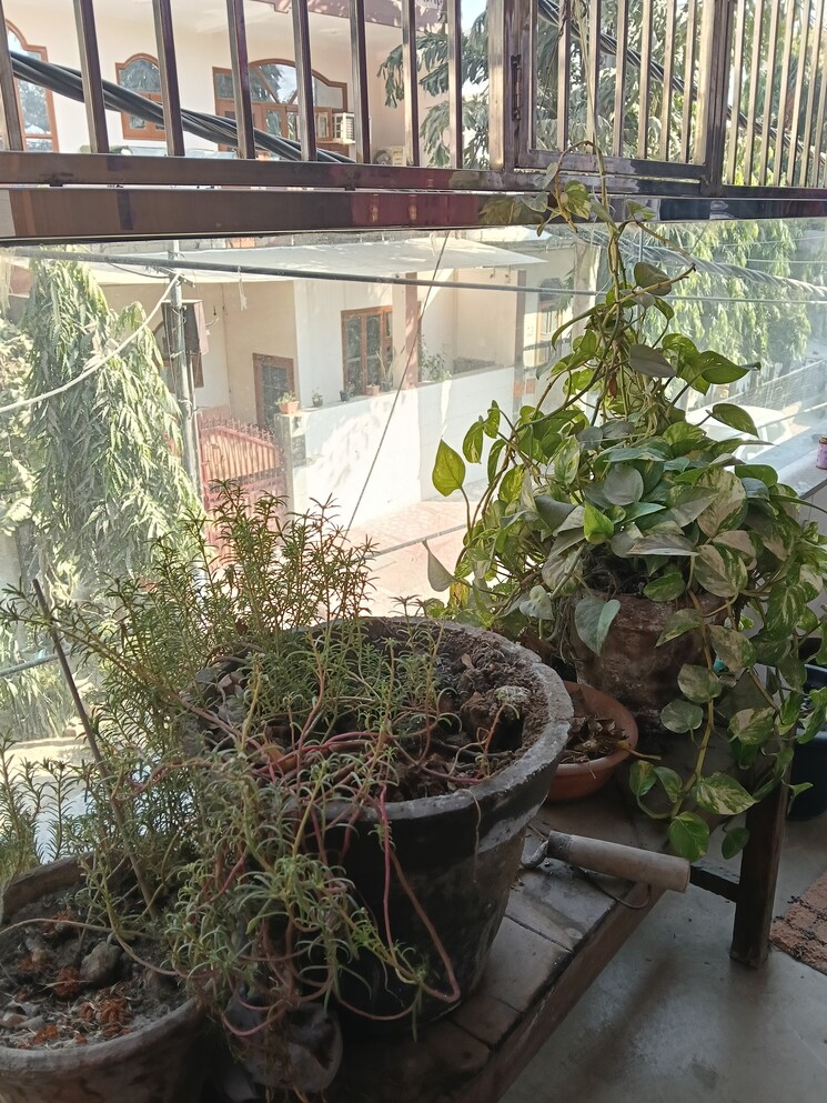 Balcony, panchsheel enclave 4 Bedroom 150 Sq.Yd. Builder Floor In Panchsheel Enclave Ghaziabad 9593862