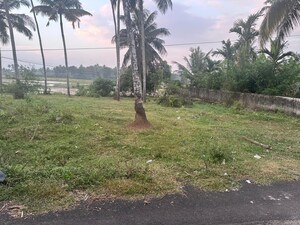  Plot For Sale in Olarikara