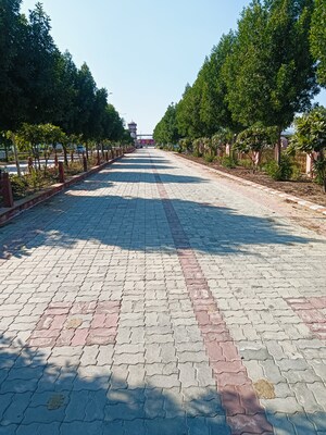  Plot – Exterior View View at Beawar Road - for Sale