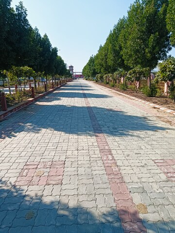  Plot – Exterior View View at Beawar Road - for Sale