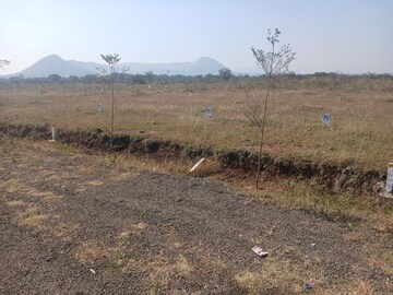  Plot For Sale in Pimpalgaon Bahula